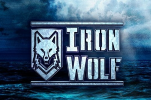 [RECENZJA] IronWolf VR